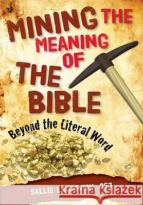 Mining the Meaning of the Bible: Beyond the Literal Word Sallie Latkovich 9780764819827 Liguori Publications - książka