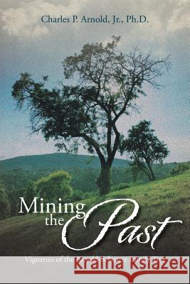 Mining the Past: Vignettes of the Arnold-Schuster Family Tree Arnold Ph. D., Charles P., Jr. 9781493129706 Xlibris Corporation - książka