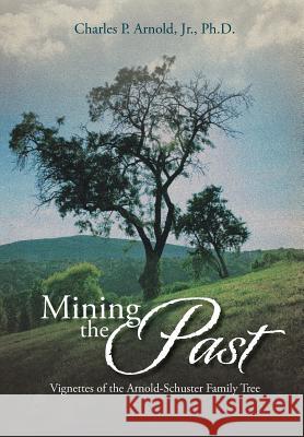 Mining the Past: Vignettes of the Arnold-Schuster Family Tree Arnold Ph. D., Charles P., Jr. 9781493145607 Xlibris Corporation - książka