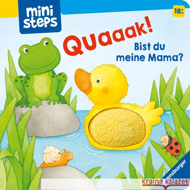 ministeps: Quak! Bist du meine Mama? Penners, Bernd 9783473302543 Ravensburger Verlag - książka