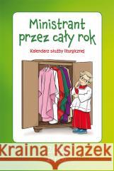 Ministrant przez cały rok Hubert Wołącewicz 9788383531359 Jedność - książka