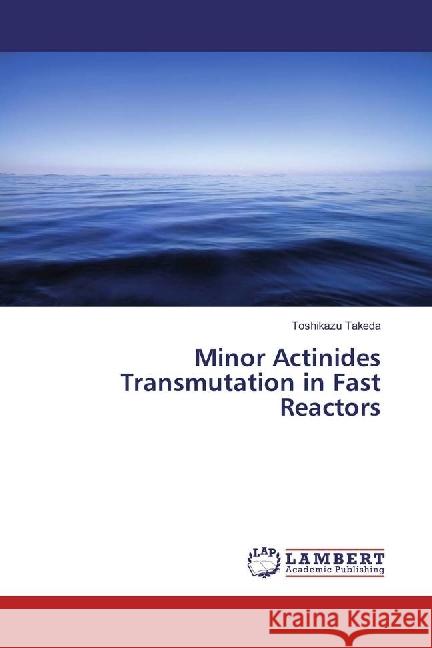 Minor Actinides Transmutation in Fast Reactors Takeda, Toshikazu 9783330015890 LAP Lambert Academic Publishing - książka