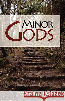 Minor Gods T. Vasudeva Reddy 9780595469451 iUniverse.com - książka