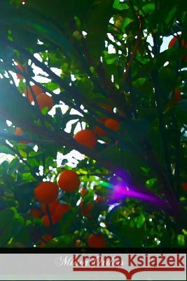 Minor Orders Rev Louis Bacue 9781466408128 Createspace - książka