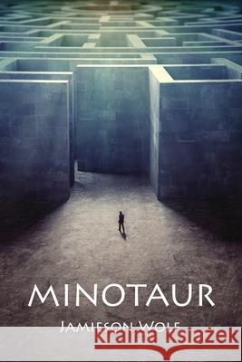 Minotaur Jamieson Wolf 9781608644094 Queer Space - książka