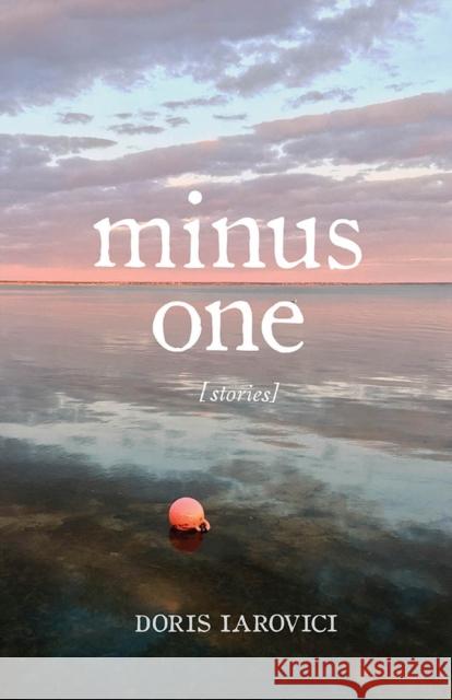 Minus One Doris Iarovici 9780299330040 University of Wisconsin Press - książka