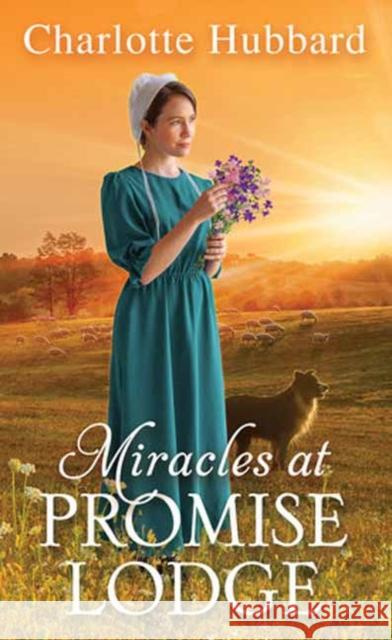 Miracles at Promise Lodge Charlotte Hubbard 9781420156270 Kensington Publishing - książka