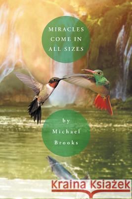 Miracles Come in All Sizes Michael Brooks (Vale of Glamorgan) 9781641382359 Page Publishing, Inc. - książka