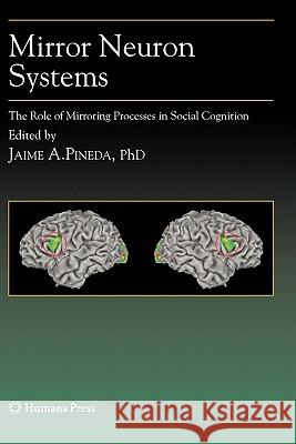 Mirror Neuron Systems: The Role of Mirroring Processes in Social Cognition Pineda, Jaime A. 9781617379314 Springer - książka