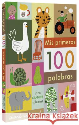 MIS Primeras 100 Palabras Edward Underwood 9788491015949 Combel Ediciones Editorial Esin, S.A. - książka