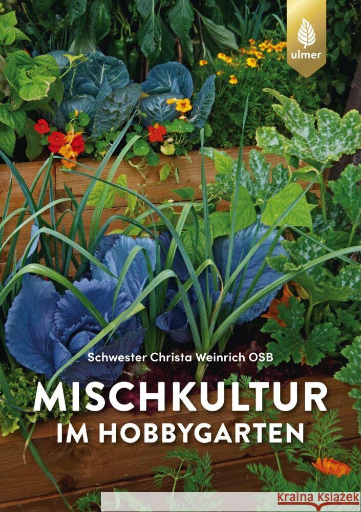 Mischkultur im Hobbygarten Weinrich, Schwester Christa 9783818622060 Verlag Eugen Ulmer - książka