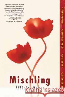 Mischling Affinity Konar 9780316308090 Lee Boudreaux / Back Bay Books - książka