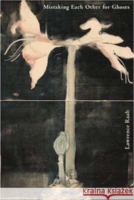 Mistaking Each Other for Ghosts Lawrence Raab 9781936797653 BERTRAMS - książka