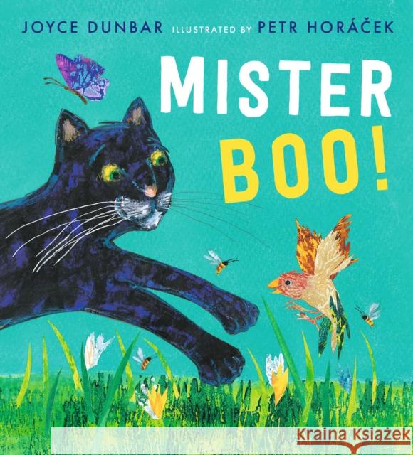Mister Boo! Joyce Dunbar 9781406395686 Walker Books Ltd - książka
