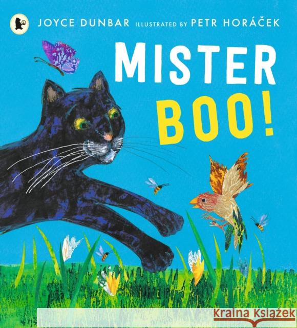 Mister Boo! Joyce Dunbar 9781529504071 Walker Books Ltd - książka