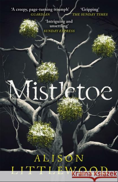 Mistletoe: 'The perfect read for frosty nights' HEAT Alison Littlewood 9781787475892 Quercus Publishing - książka