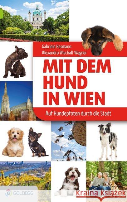 Mit dem Hund in Wien : Auf vier Pfoten durch die Stadt Hasmann, Gabriele; Wischall-Wagner, Alexandra 9783902991799 Goldegg - książka