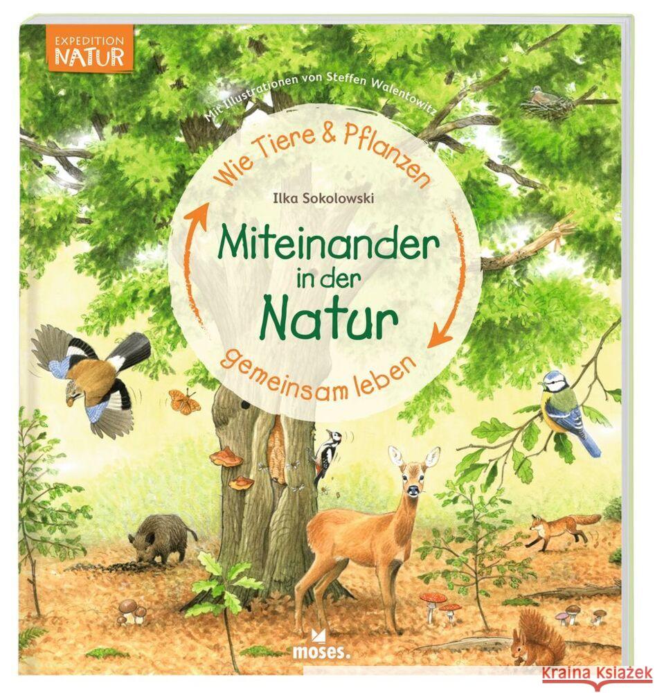 Miteinander in der Natur Sokolowski, Ilka 9783964551115 moses. Verlag - książka