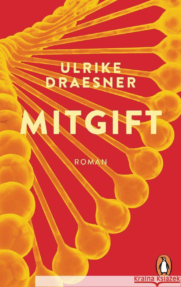 Mitgift Draesner, Ulrike 9783328110095 Penguin Verlag München - książka