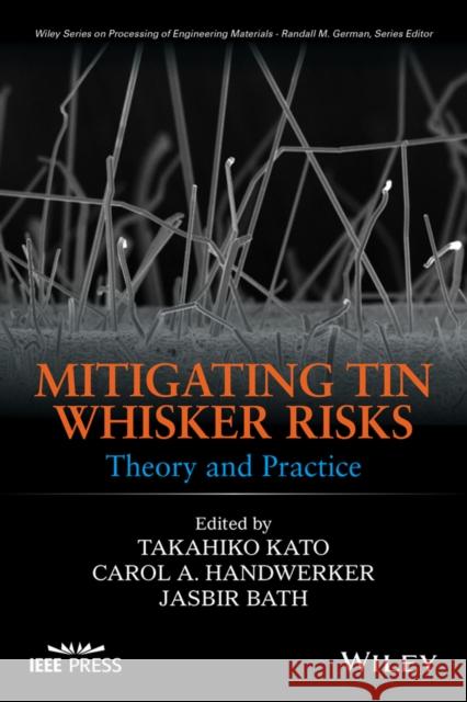 Mitigating Tin Whisker Risks: Theory and Practice Kato, Takahiko 9780470907238 John Wiley & Sons - książka