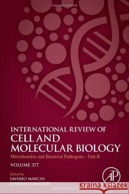 Mitochondria and Bacterial Pathogens - Part B: Volume 377 Galluzzi, Lorenzo 9780443191237 Academic Press - książka