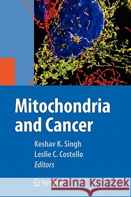 Mitochondria and Cancer Keshav Singh Leslie Costello 9781441927385 Springer - książka