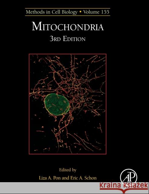 Mitochondria Biology: Volume 155 Pon, Liza A. 9780128202289 Academic Press - książka