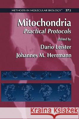 Mitochondria: Practical Protocols Leister, Dario 9781588296672 HUMANA PRESS INC.,U.S. - książka