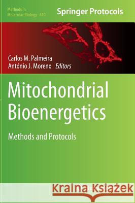 Mitochondrial Bioenergetics: Methods and Protocols Palmeira, Carlos M. 9781617793813 Humana Press Inc. - książka