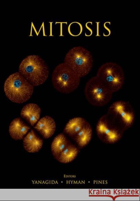 Mitosis Jonathan Pines Anthony Hyman Mitsuhiro Yanagida 9781621821359 Cold Spring Harbor Laboratory Press - książka