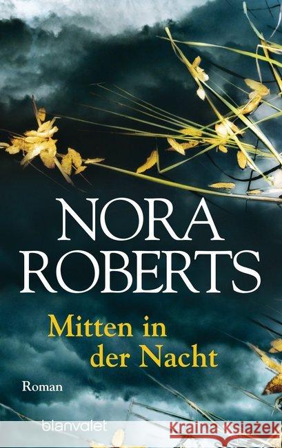 Mitten in der Nacht : Roman Roberts, Nora 9783734105425 Blanvalet - książka