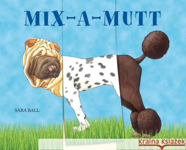 Mix-A-Mutt Sara Ball 9780789213105 Abbeville Kids - książka
