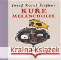 Můj deník z roku 2091 Eduard Petiška 9788072872862 Maťa - książka