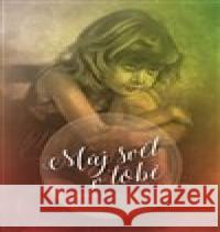 Můj svět v tobě Renata Šindelářová 9788090690271 Literární strom - książka