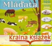 Mláďata  9788025639634 Svojtka & Co. - książka