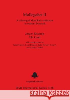 Møllegabet II: A submerged Mesolithic settlement in southern Denmark Skaarup, Jørgen 9781841716732 British Archaeological Reports - książka