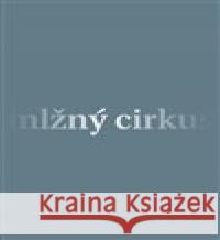 Mlžný cirkus David Růžička 9788074653735 Pavel Mervart - książka