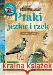 Młody obserwator przyrody. Ptaki jezior i rzek Michał Brodacki 9788377636312 Multico - książka