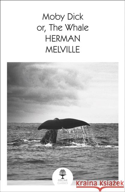 Moby Dick Herman Melville 9780008509521 HarperCollins Publishers - książka