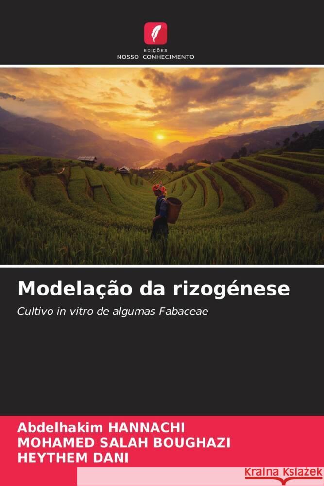 Modela??o da rizog?nese Abdelhakim Hannachi Mohamed Salah Boughazi Heythem Dani 9786207444960 Edicoes Nosso Conhecimento - książka