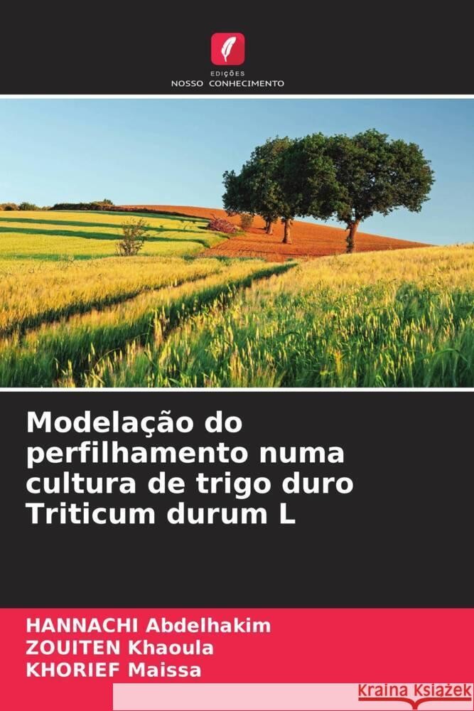 Modela??o do perfilhamento numa cultura de trigo duro Triticum durum L Hannachi Abdelhakim Zouiten Khaoula Khorief Maissa 9786208162719 Edicoes Nosso Conhecimento - książka