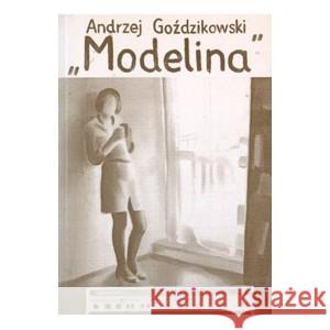 Modelina GOŹDZIKOWSKI ANDRZEJ 9788386735945 LAMPA I ISKRA BOŻA - książka