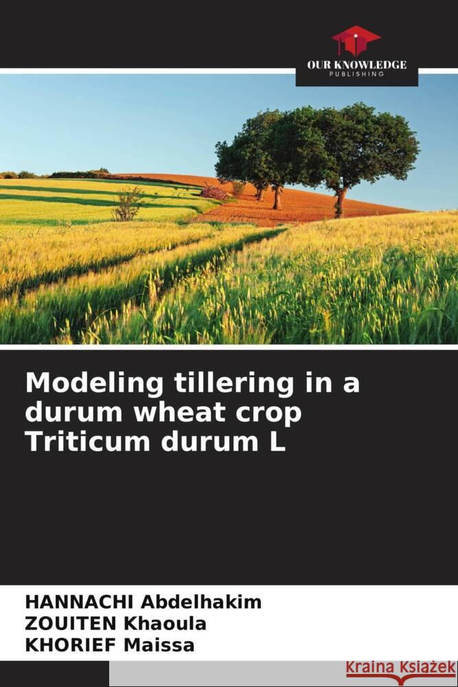 Modeling tillering in a durum wheat crop Triticum durum L Hannachi Abdelhakim Zouiten Khaoula Khorief Maissa 9786208162689 Our Knowledge Publishing - książka