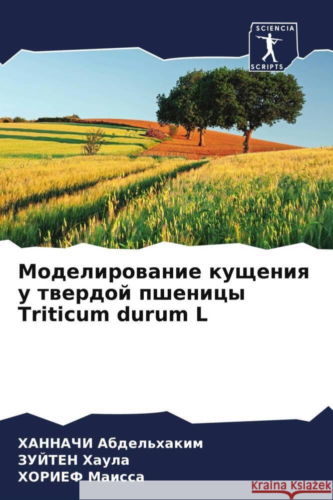 Modelirowanie kuscheniq u twerdoj pshenicy Triticum durum L Abdel'hakim, HANNAChI, Haula, ZUJTEN, Maissa, HORIEF 9786208162726 Sciencia Scripts - książka