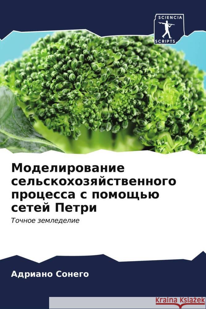 Modelirowanie sel'skohozqjstwennogo processa s pomosch'ü setej Petri Sonego, Adriano 9786206528937 Sciencia Scripts - książka