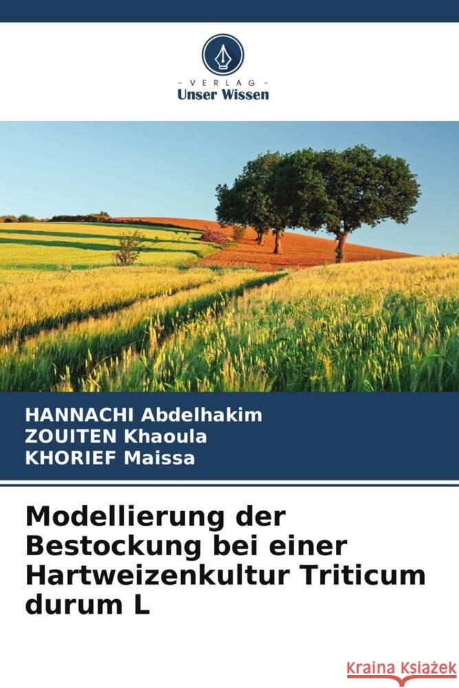 Modellierung der Bestockung bei einer Hartweizenkultur Triticum durum L Hannachi Abdelhakim Zouiten Khaoula Khorief Maissa 9786208162672 Verlag Unser Wissen - książka