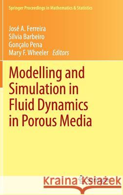 Modelling and Simulation in Fluid Dynamics in Porous Media Jos a. Ferreira S. Lvia Barbeiro Gon Alo Pena 9781461450542 Springer - książka