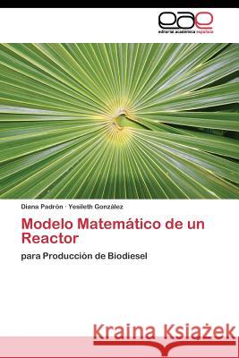 Modelo Matemático de un Reactor Padrón Diana 9783844342482 Editorial Academica Espanola - książka