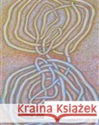 Modelová torza prahů Jaroslav Chobot 9788076456013 Dauphin - książka