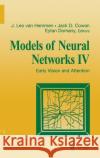 Models of Neural Networks IV: Early Vision and Attention Leo Va Eytan Domany Jack Cowan 9780387951058 Springer